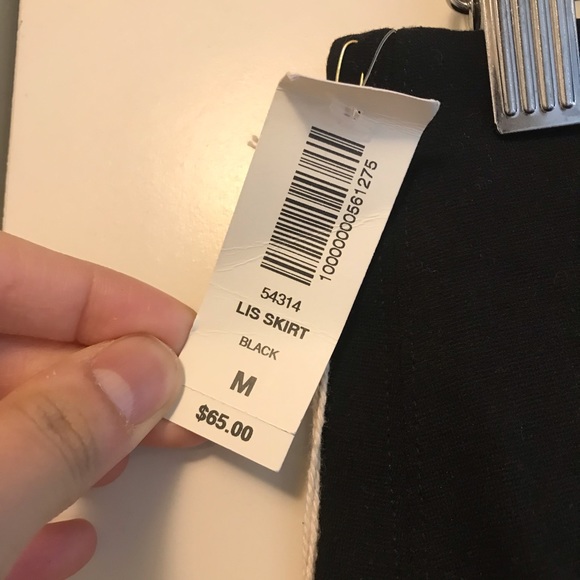 Aritzia Lis Skirt - Picture 3 of 3